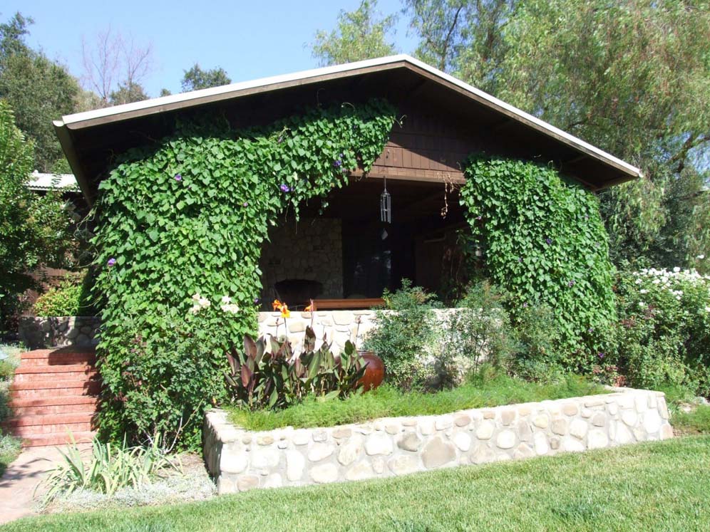 Half Covered Home