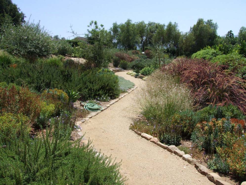 Zig-zag Path