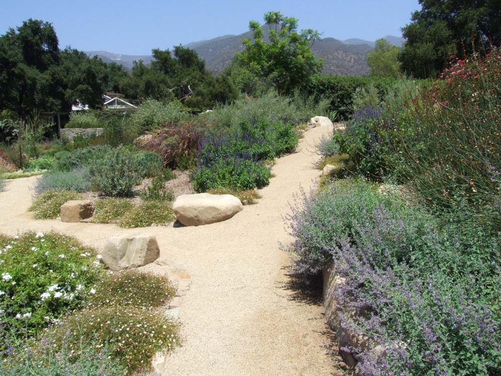 Discovery Paths