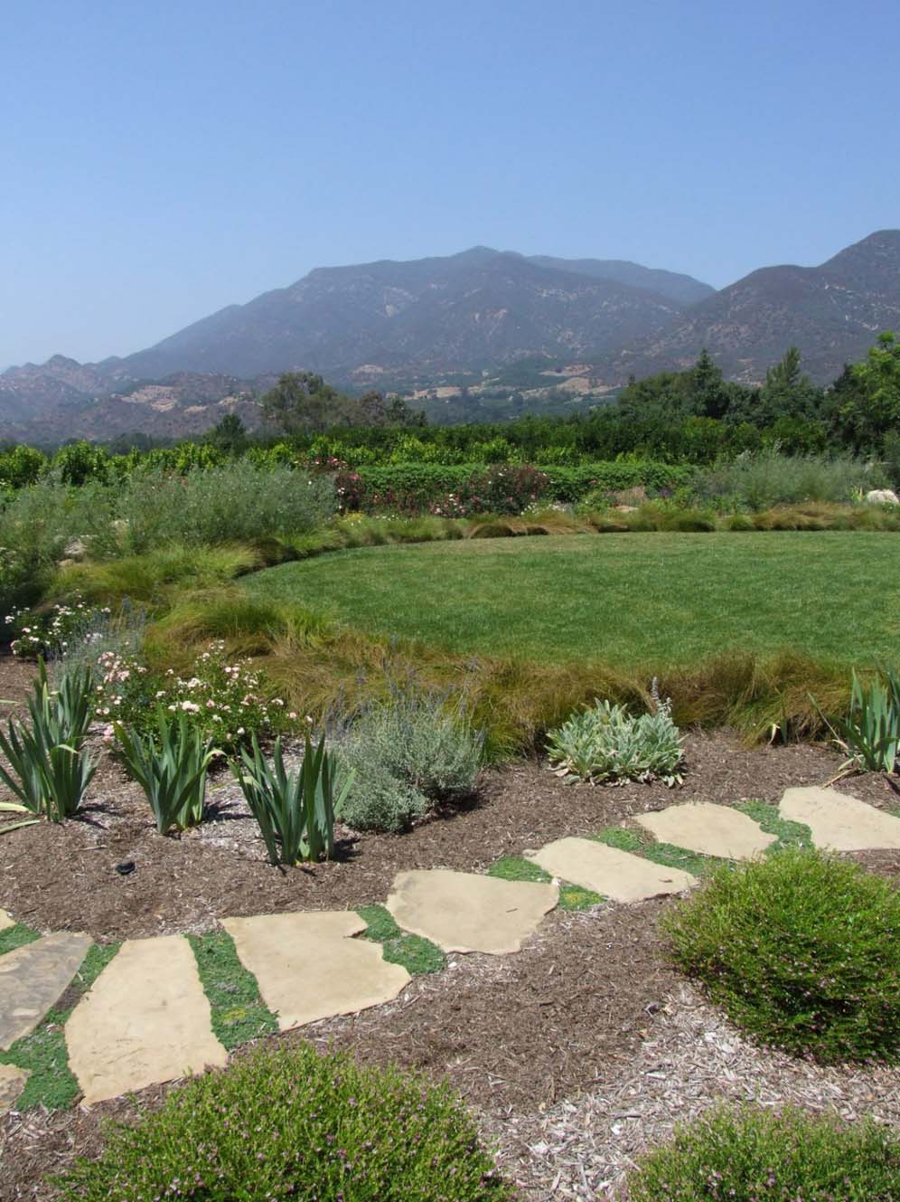 Verdant Garden