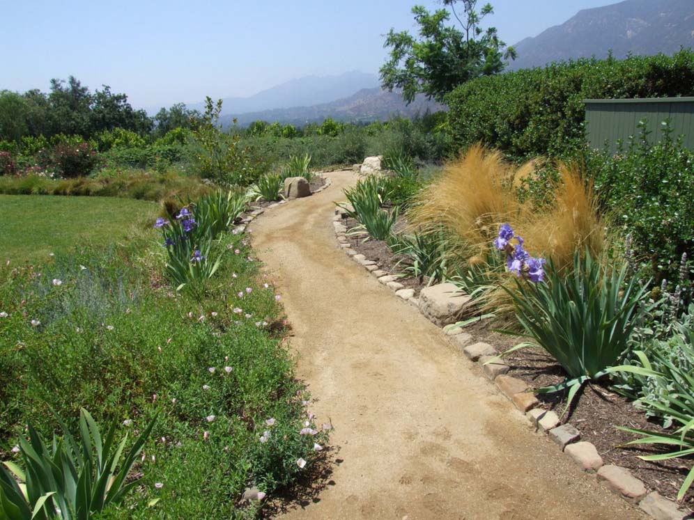 Meandering Path