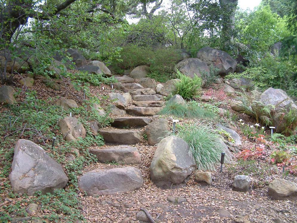 Santa Barbara Botanic Garden: Steps