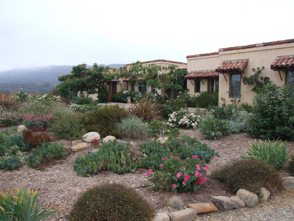 Mounds of Perennials