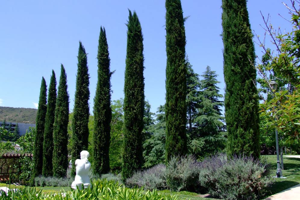 Gardens of the World: Italian Garden