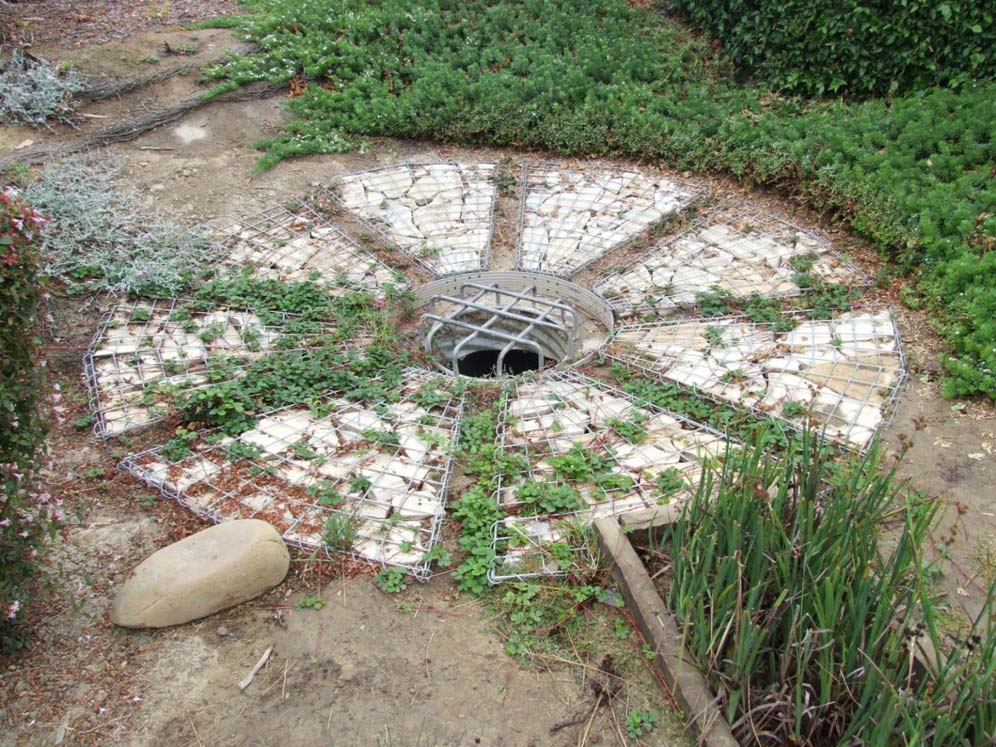 Ventura Bioswale 1