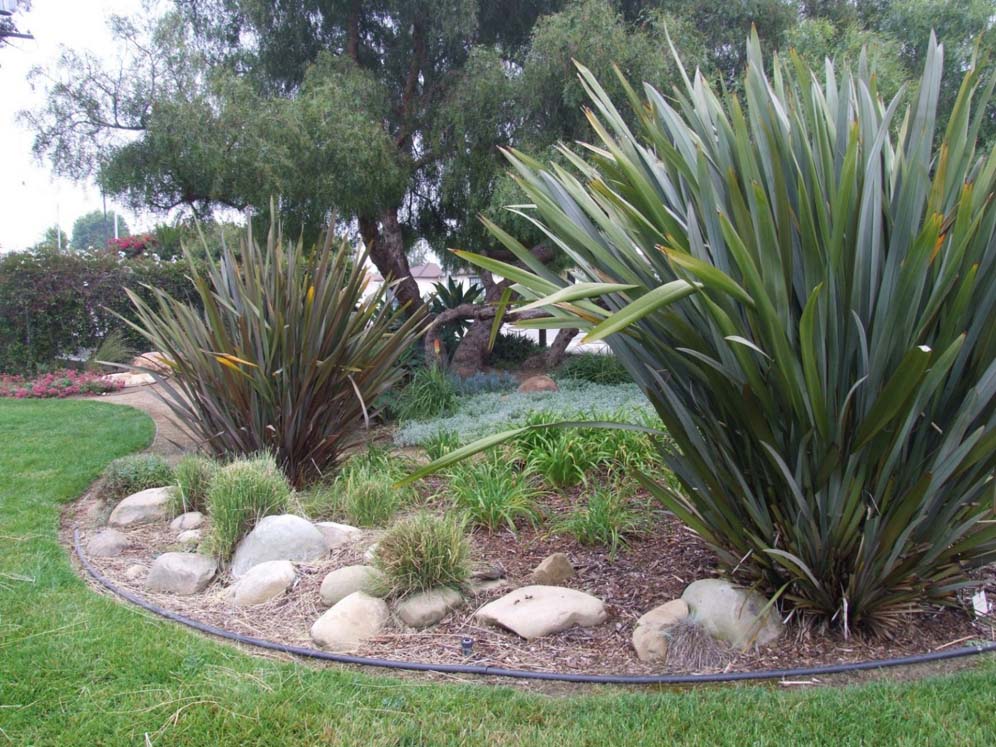 Ventura Bioswale Garden