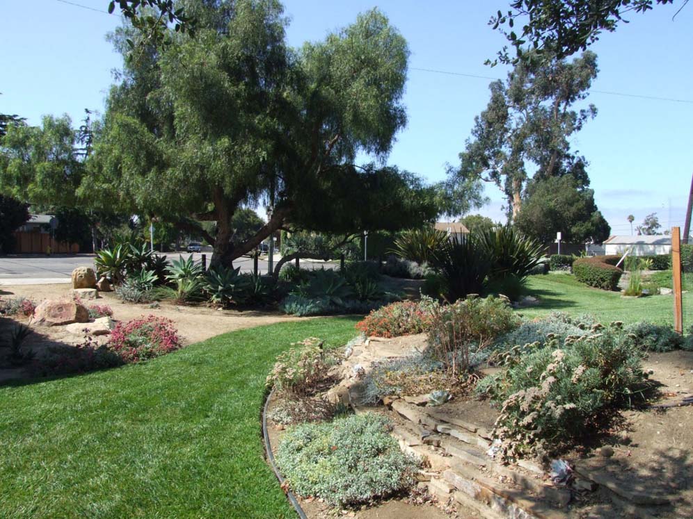 Ventura Bioswale 2