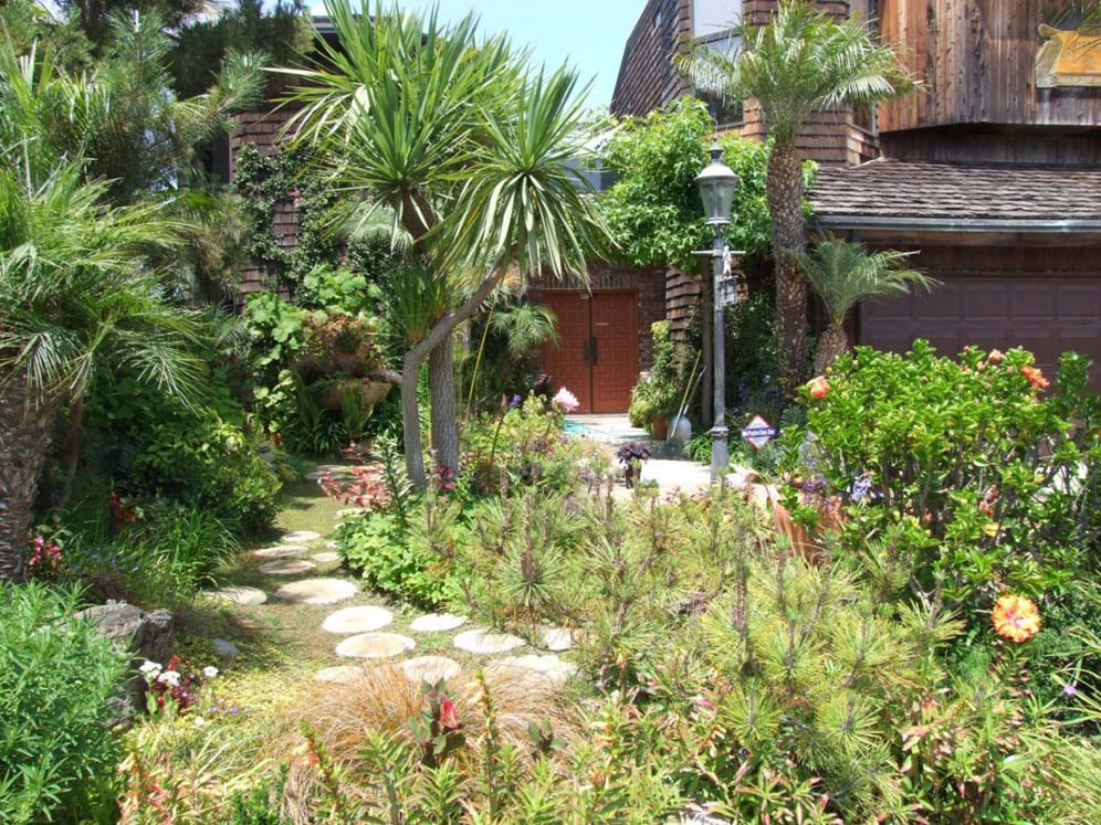 Tropical Wonderland