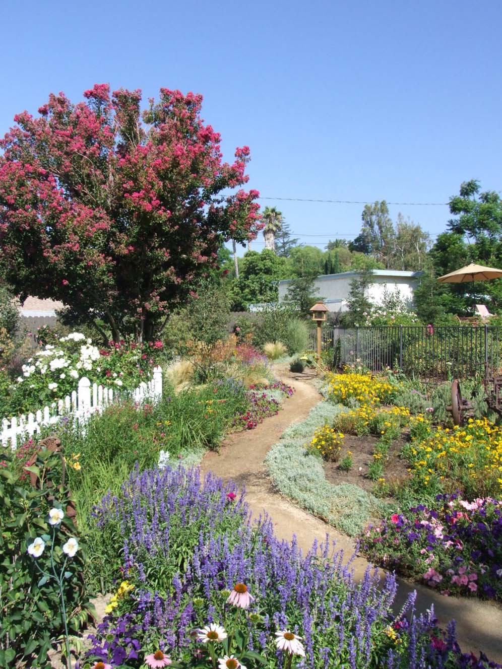 Walk through Flower Color
