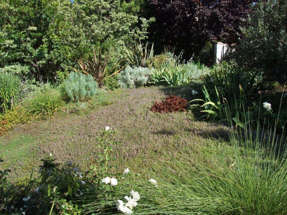 No-Mow