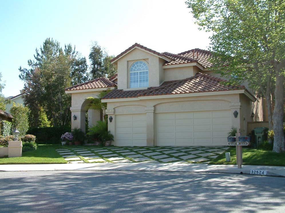Verdant Patterns in Driveway