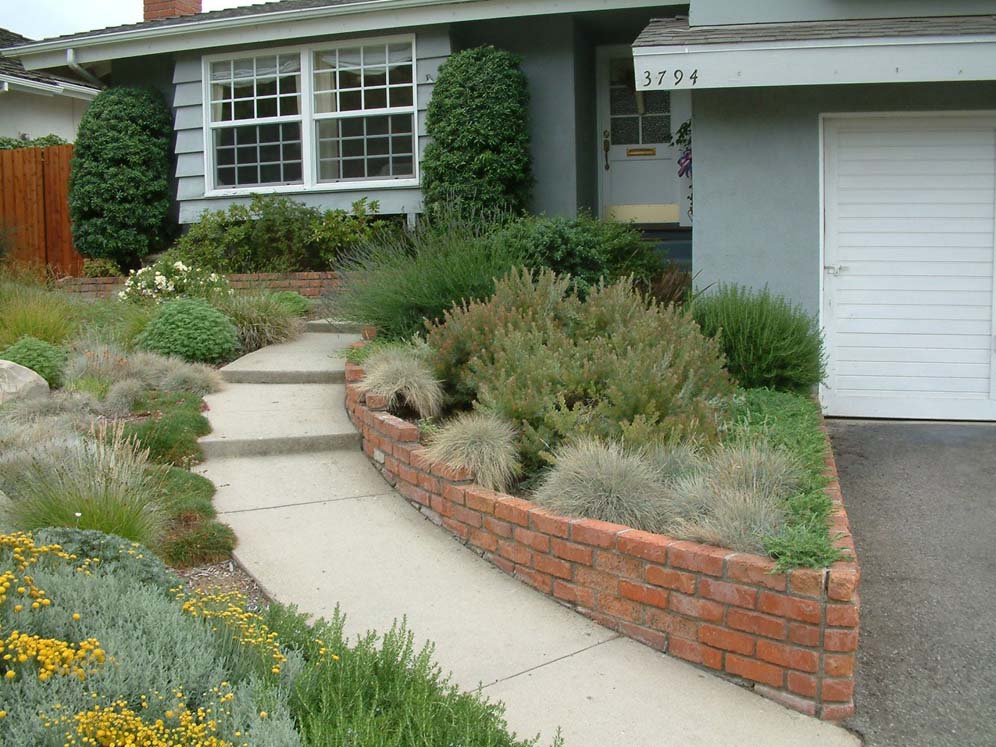 Walkway Flanked by Loveliness
