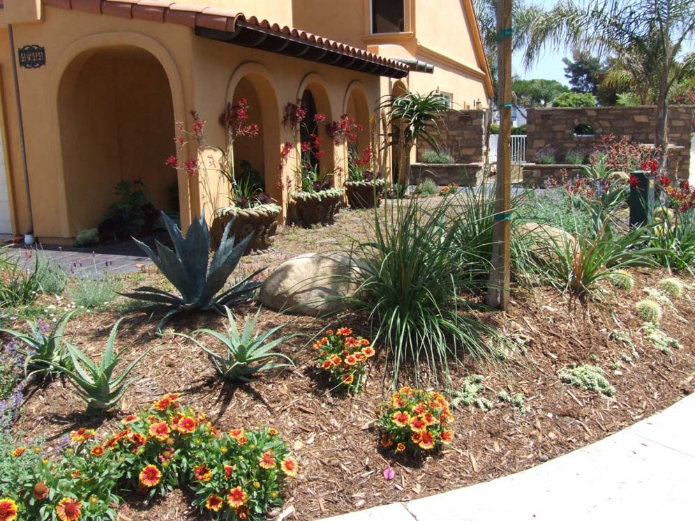 Well-Mulched Hillside