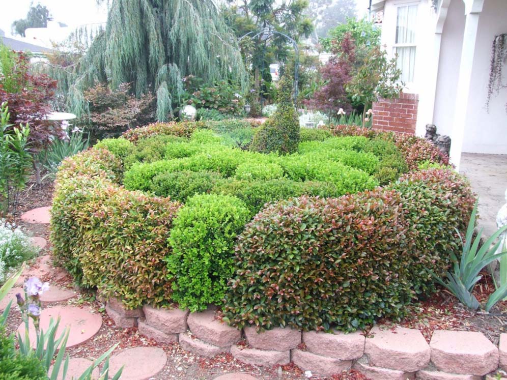 Formal Look Garden