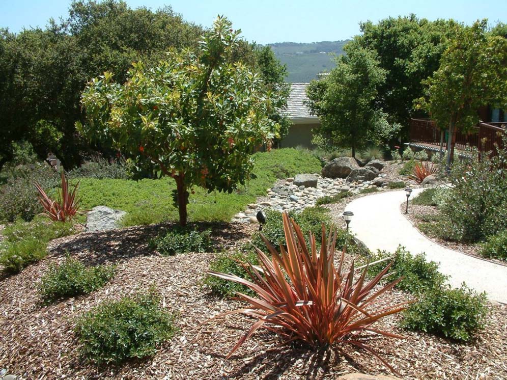 Phormium Attractions