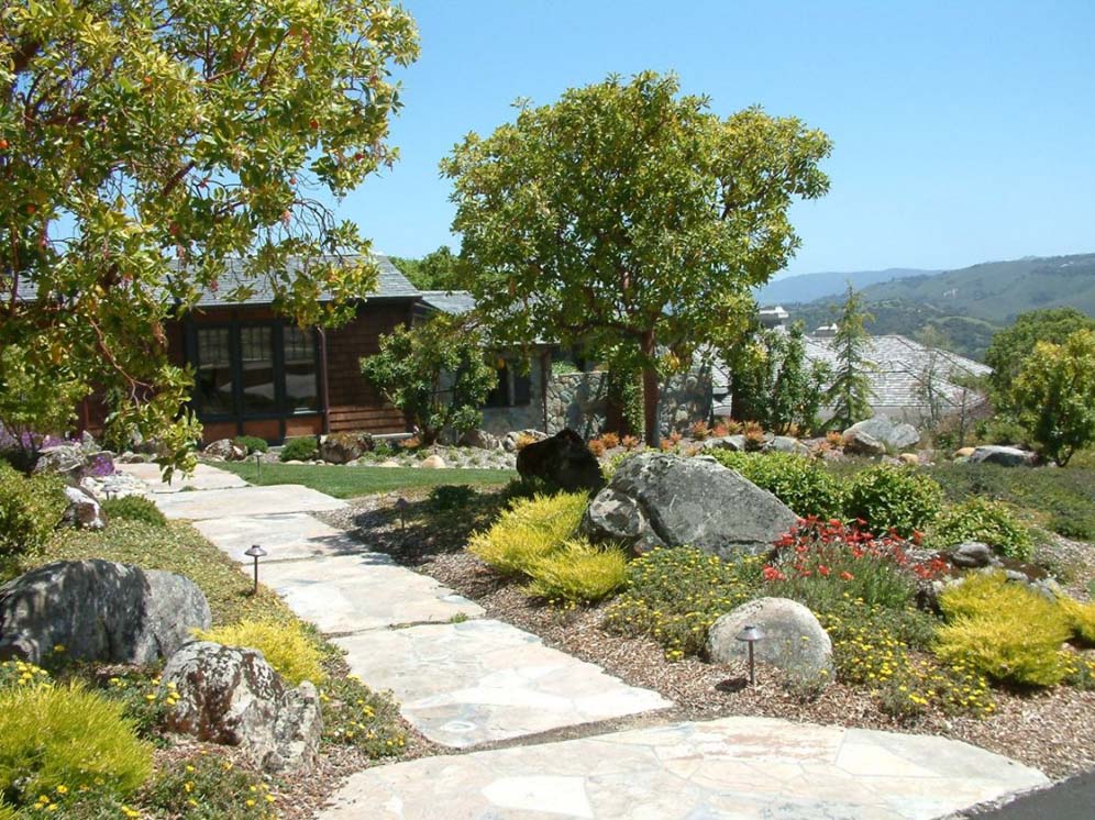Boulder Hardscape