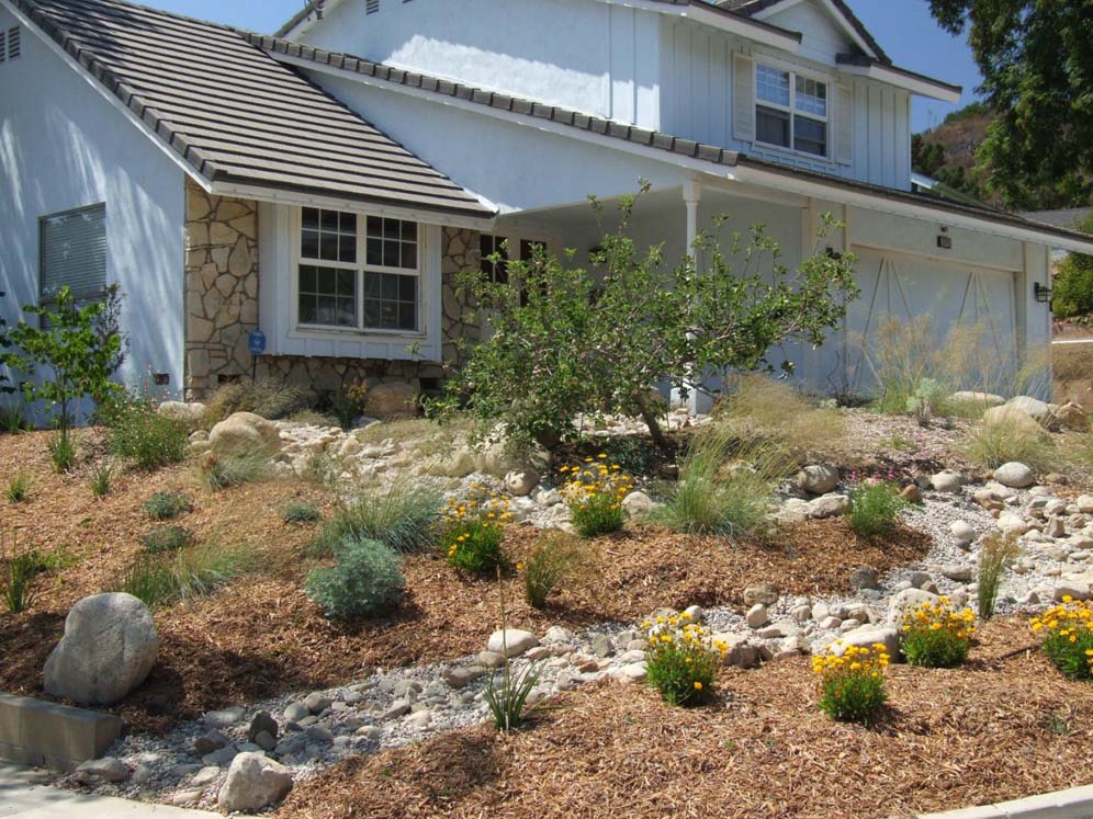 Minimalist Front Yard