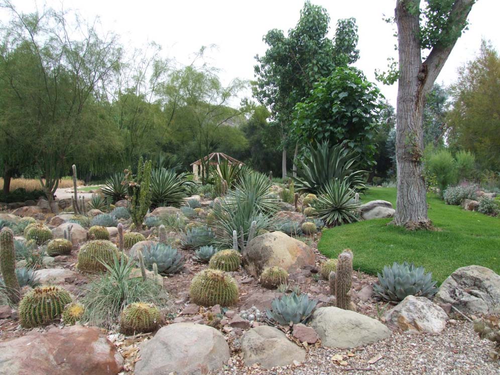 High Drama Desert Garden