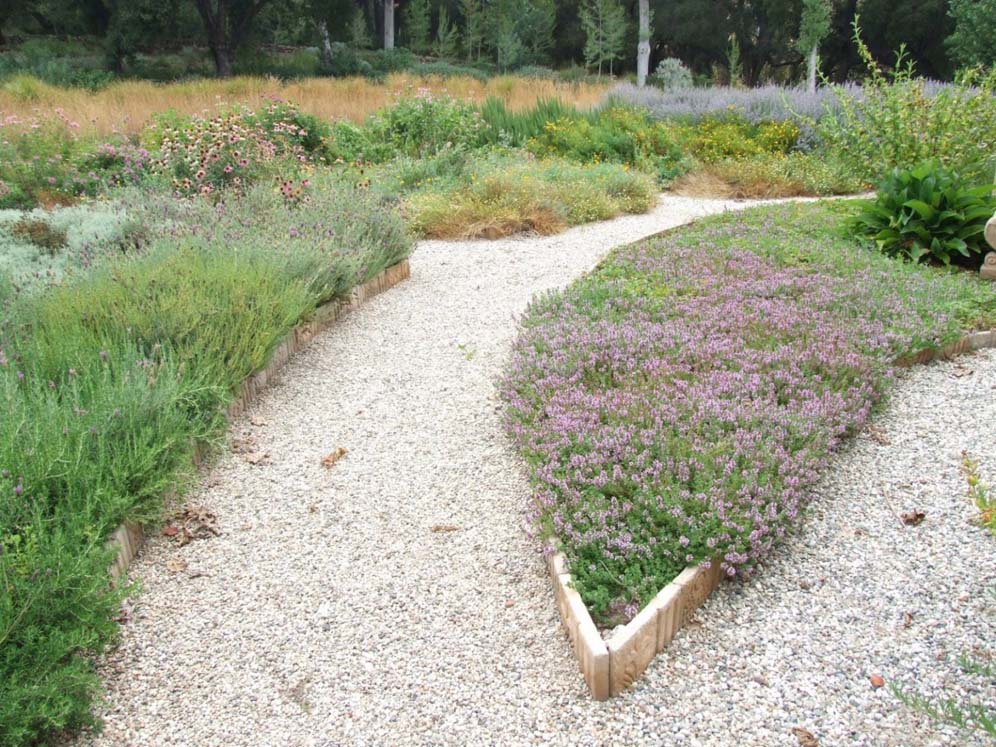 Path Split in Two