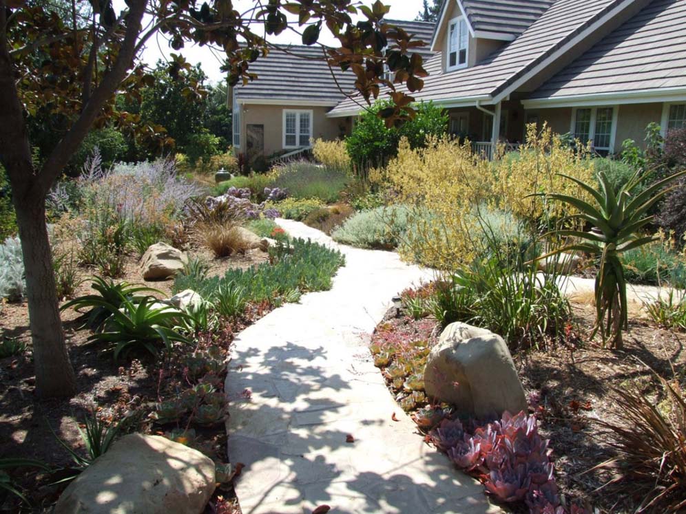 Path Through Verdant Garden