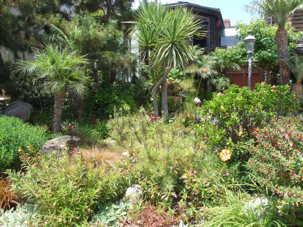 Paradise Garden by the Sea