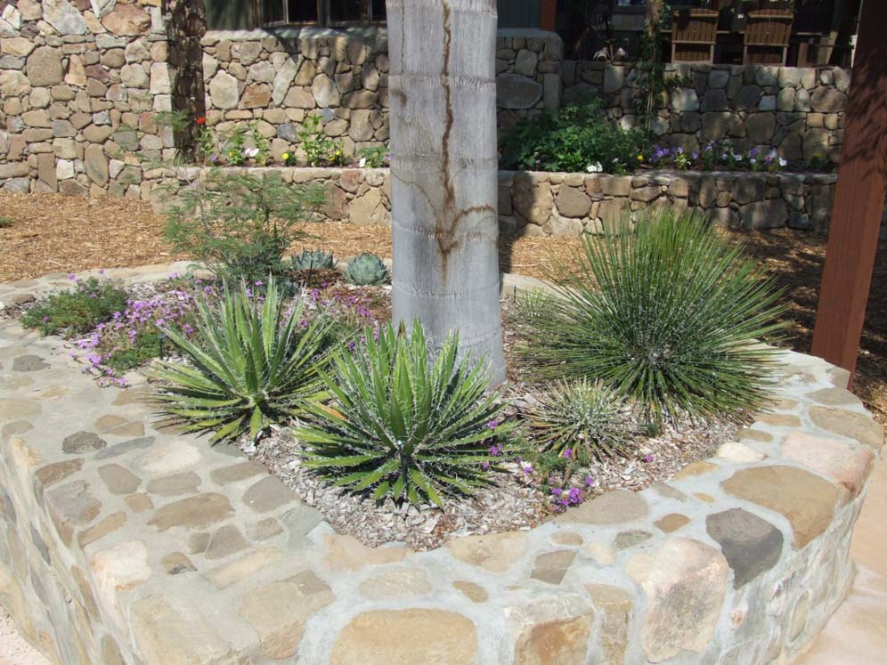 Stone and Concrete Raised Planter