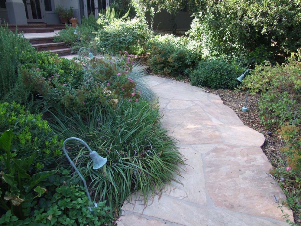 Lovely Pathway