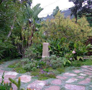 Art House Garden