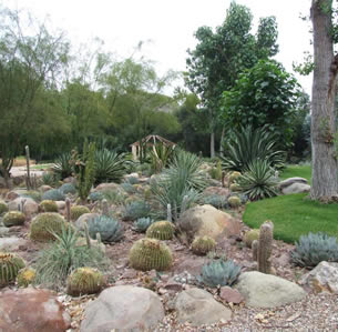 Australian Garden