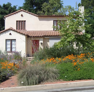 Gold Native Garden