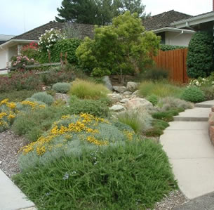 Ocean Friendly Garden