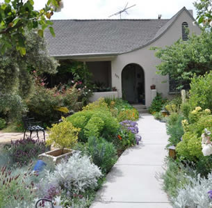 Euphorbia Garden