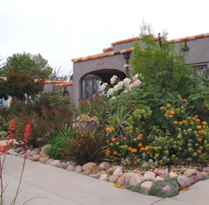 Exotic Garden