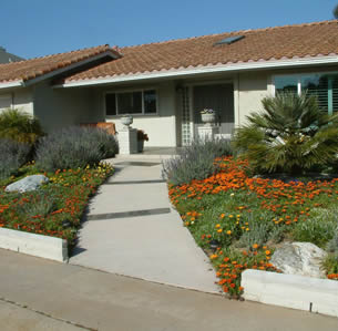Lawn Alternatives