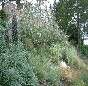 Newbury Park Mediterranean Garden