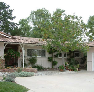 Roger's Xeriscape Garden