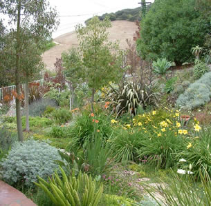 Mediterranean Hillside Garden