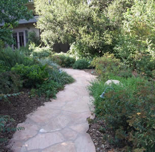 Wooded Glen Garden
